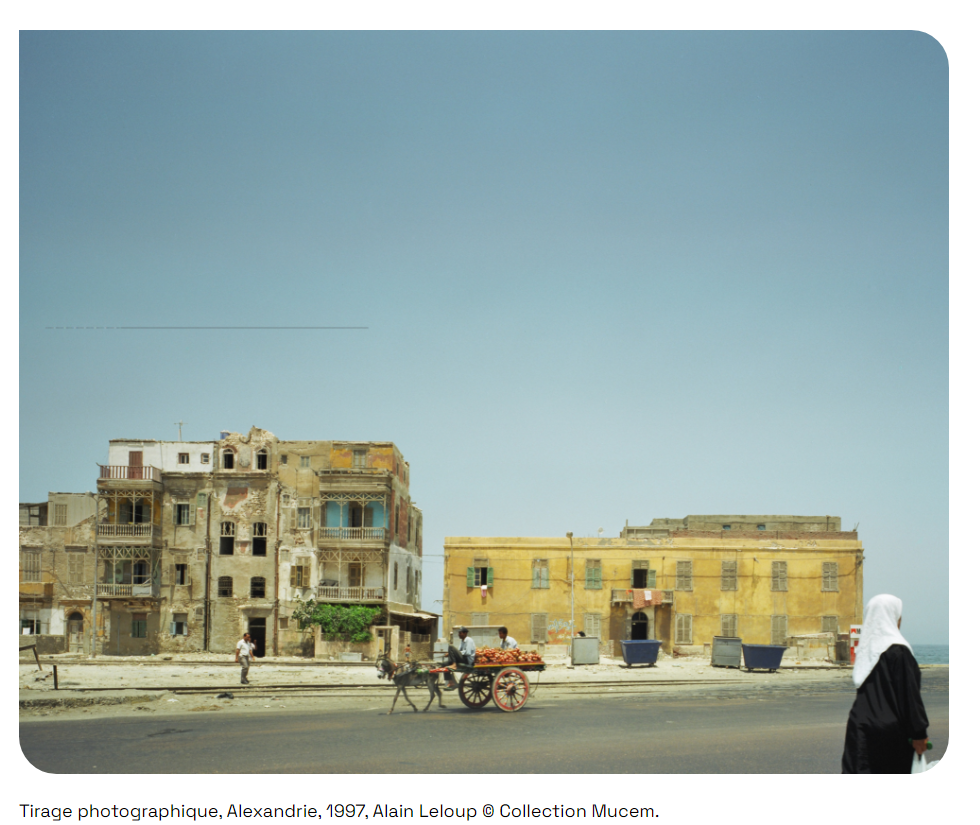 Alexandria Newsletter 0